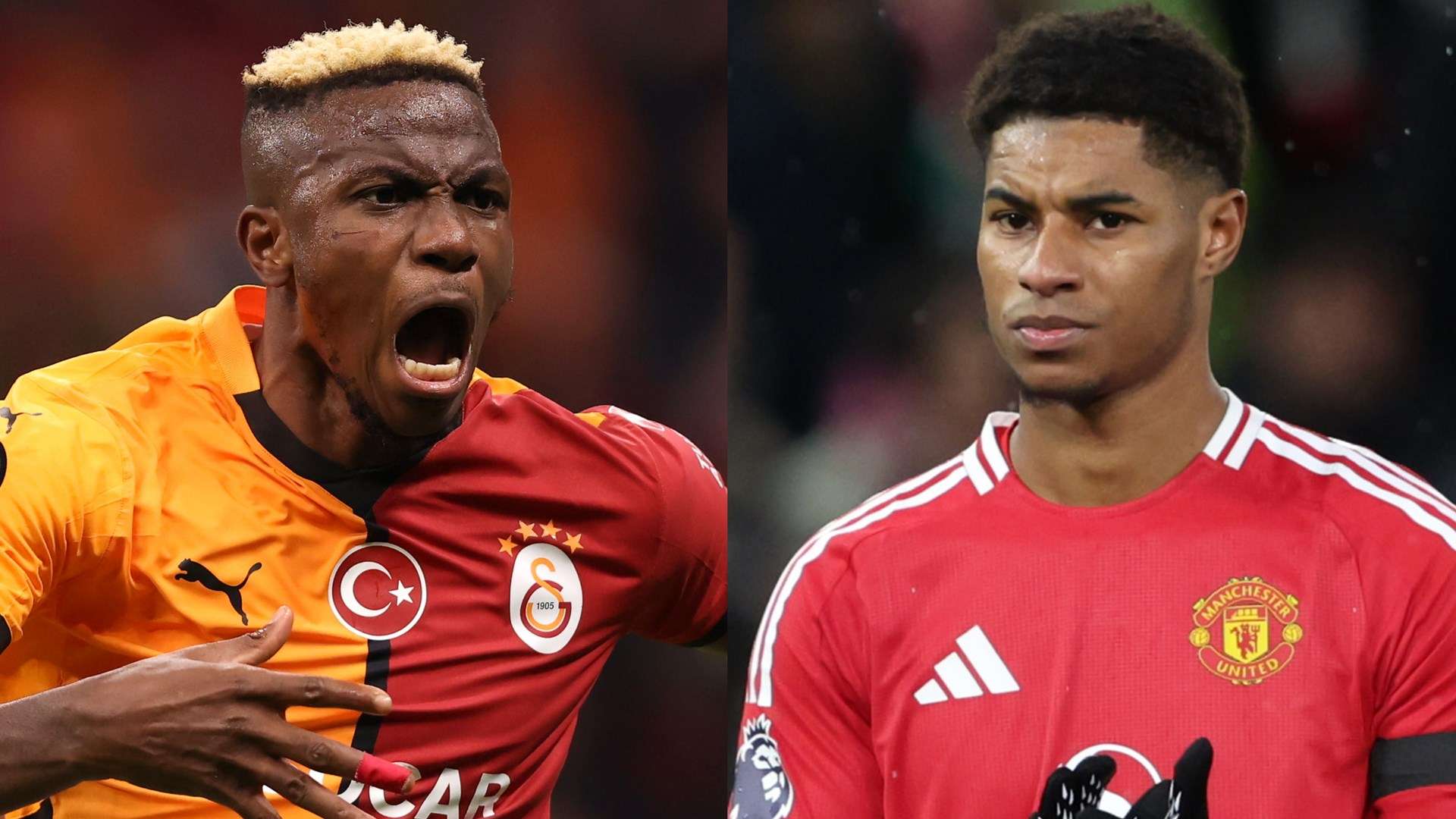 逐渐接近尾 逐渐接近尾