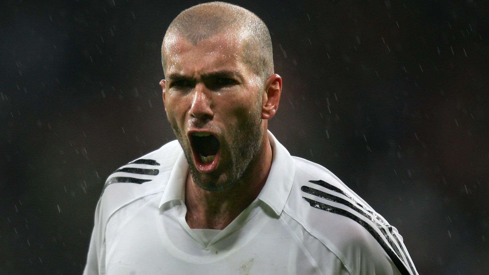 的各方面影 的各方面影